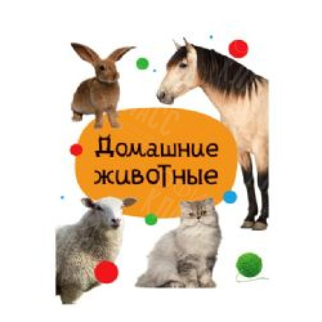 ЛИТЕРАТУРНО-ХУДОЖЕСТВЕННОЕ ИЗДАНИЕ - ДОМАШНИЕ ЖИВОТНЫЕ