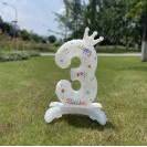 СТОЯЩИЙ ЦИФРОВОЙ ШАР (3) С КОРОНОЙ 69СМ