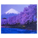 АЛМАЗНАЯ ЖИВОПИСЬ 30Х40 GLD61870 В КАРТОННОЙ КОРОБКЕ