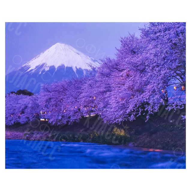 АЛМАЗНАЯ ЖИВОПИСЬ 30Х40 GLD61870 В КАРТОННОЙ КОРОБКЕ