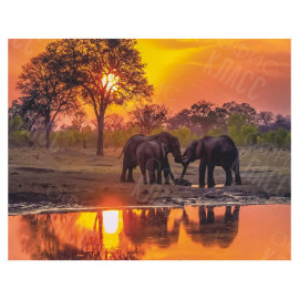 АЛМАЗНАЯ ЖИВОПИСЬ 30Х40 GLD61922 В КАРТОННОЙ КОРОБКЕ