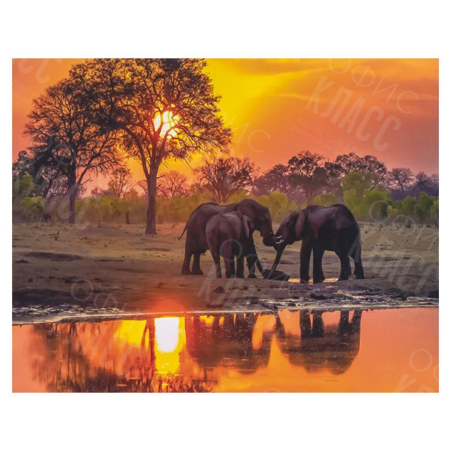 АЛМАЗНАЯ ЖИВОПИСЬ 30Х40 GLD61922 В КАРТОННОЙ КОРОБКЕ