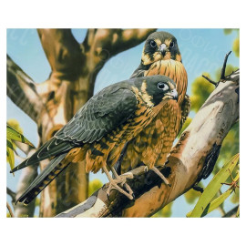 АЛМАЗНАЯ ЖИВОПИСЬ 30Х40 GLD61964 В КАРТОННОЙ КОРОБКЕ