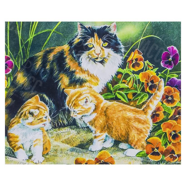 АЛМАЗНАЯ ЖИВОПИСЬ 30Х40 GLD62228 В КАРТОННОЙ КОРОБКЕ