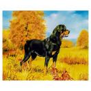 АЛМАЗНАЯ ЖИВОПИСЬ 30Х40 GLD62492 В КАРТОННОЙ КОРОБКЕ