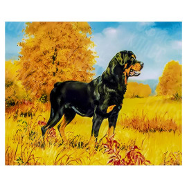 АЛМАЗНАЯ ЖИВОПИСЬ 30Х40 GLD62492 В КАРТОННОЙ КОРОБКЕ