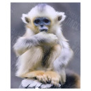 АЛМАЗНАЯ ЖИВОПИСЬ 30Х40 GLD62520 В КАРТОННОЙ КОРОБКЕ