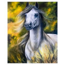 АЛМАЗНАЯ ЖИВОПИСЬ 30Х40 GLD62652 В КАРТОННОЙ КОРОБКЕ