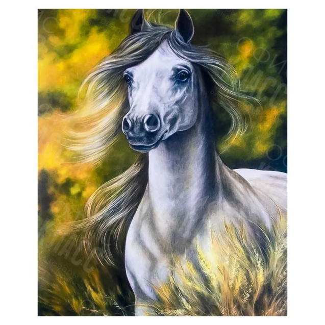 АЛМАЗНАЯ ЖИВОПИСЬ 30Х40 GLD62652 В КАРТОННОЙ КОРОБКЕ