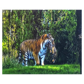 АЛМАЗНАЯ ЖИВОПИСЬ 30Х40 GLD65149 В КАРТОННОЙ КОРОБКЕ