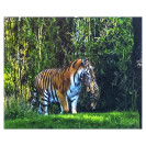 АЛМАЗНАЯ ЖИВОПИСЬ 30Х40 GLD65149 В КАРТОННОЙ КОРОБКЕ