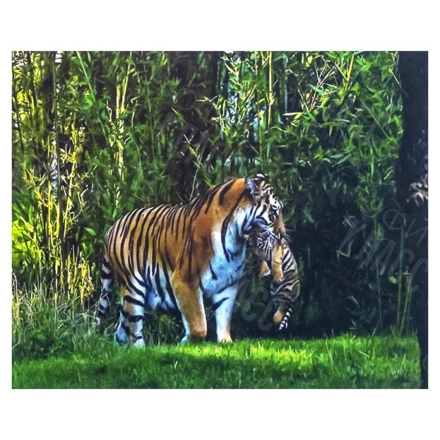 АЛМАЗНАЯ ЖИВОПИСЬ 30Х40 GLD65149 В КАРТОННОЙ КОРОБКЕ