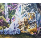 АЛМАЗНАЯ ЖИВОПИСЬ 40Х50 GLE76545 В КАРТОННОЙ КОРОБКЕ