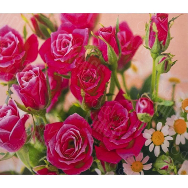 АЛМАЗНАЯ ЖИВОПИСЬ 40Х50 GLE77232 В КАРТОННОЙ КОРОБКЕ