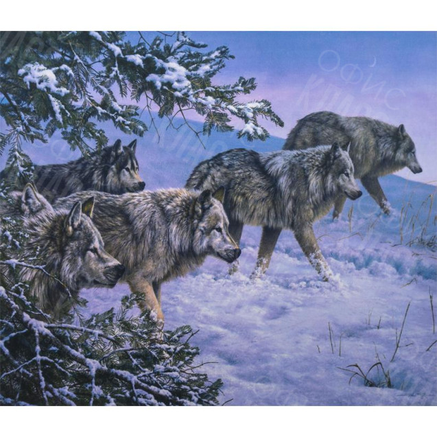 АЛМАЗНАЯ ЖИВОПИСЬ 40Х50 GLE77238 В КАРТОННОЙ КОРОБКЕ