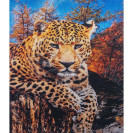 АЛМАЗНАЯ ЖИВОПИСЬ 40Х50 GLE77588 В КАРТОННОЙ КОРОБКЕ