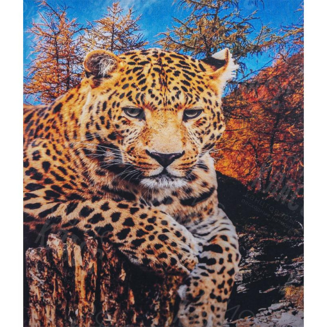 АЛМАЗНАЯ ЖИВОПИСЬ 40Х50 GLE77588 В КАРТОННОЙ КОРОБКЕ