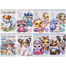 РАСКРАСКА А5 С НАКЛЕЙКАМИ НА СПИРАЛЕ 12Л. 232935