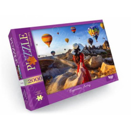 ПАЗЛ 2000 ЕЛЕМЕНТОВ ДТ-ПЗ-05-52 С2000-01 -03