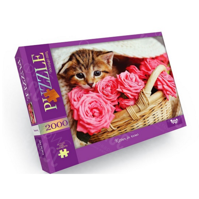 ПАЗЛ 2000 ЕЛЕМЕНТОВ ДТ-ПЗ-05-52 С2000-01 -05