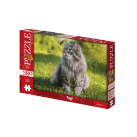 ПАЗЛ 380 ЭЛЕМЕНТОВ C380 -06-03