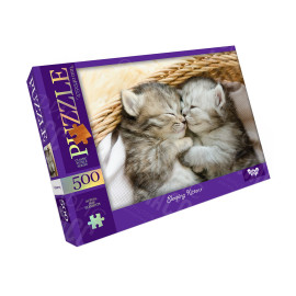 ПАЗЛ 500 ЭЛЕМЕНТОВ C500 -13-04