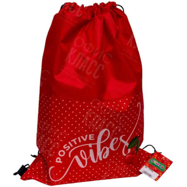 СУМКА ДЛЯ ОБУВИ "ЧЕРИ" 46*32СМ 979549