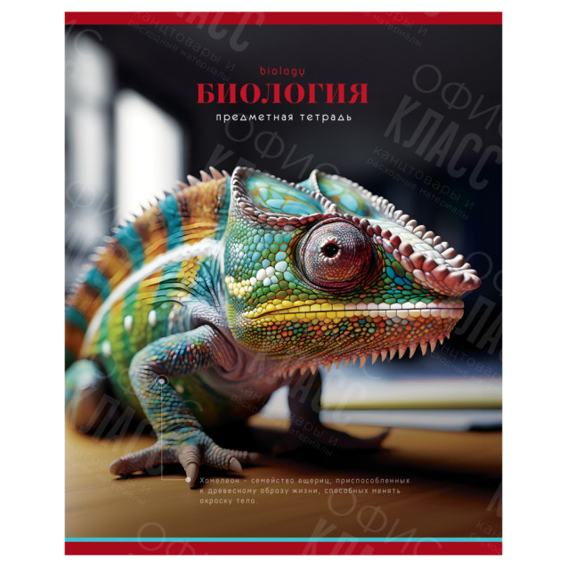 ТЕТРАДЬ ПРЕДМЕТНАЯ 40Л. BG "ФОТОСФЕРА" - БИОЛОГИЯ, ЭКОНОМ