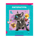 ТЕТРАДЬ ПРЕДМЕТНАЯ А5 36Л. ARTSPACE ПЯТЬ В КВАДРАТЕ ЛИТЕРАТУРА ЭКОНОМ