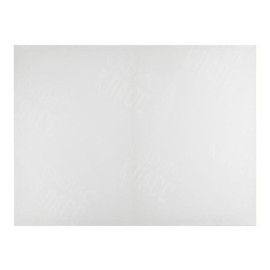 ХОЛСТ НА ПОДРАМНИКЕ 100% ХЛОПОК  60Х80 Е5309