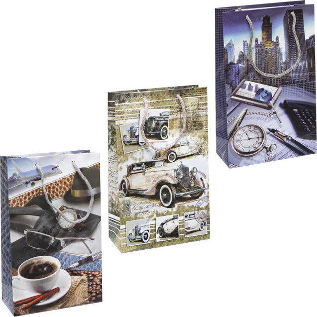 ПАКЕТ ЦВЕТНОЙ СРЕДНИЙ "МУЖСКОЙ" 27Х16Х7 СМ 3001