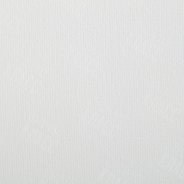 ХОЛСТ НА ПОДРАМНИКЕ 100% ХЛОПОК  50Х60 Е5309