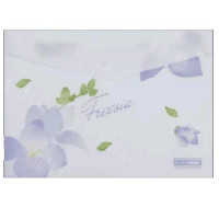 ПАПКА-КОНВЕРТ НА КНОПКЕ А4 BUROMAX ARABESKI FREESIA, МАТОВЫЙ НЕПРОЗРАЧНЫЙ ПЛАСТИК BM.3943-26