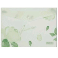 ПАПКА-КОНВЕРТ НА КНОПКЕ А4 BUROMAX ARABESKI JASMINE, МАТОВЫЙ НЕПРОЗРАЧНЫЙ ПЛАСТИК BM.3943-38