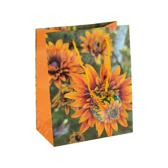 ПАКЕТ ПОДАРОЧНЫЙ 18Х23Х10 СМ GB-24130