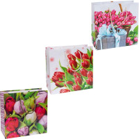 ПАКЕТ ЦВЕТНОЙ КВАДРАТ "ТЮЛЬПАНЫ" 24Х24Х10 СМ 4019
