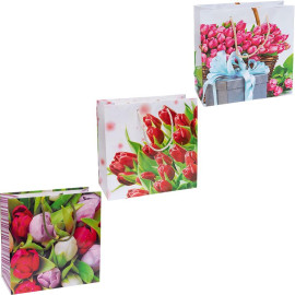 ПАКЕТ ЦВЕТНОЙ КВАДРАТ "ТЮЛЬПАНЫ" 24Х24Х10 СМ 4019