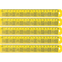 ЛИНЕЙКА 20 СМ, ПЛАСТИКОВАЯ "ТАБЛИЦА УМНОЖЕНИЯ"