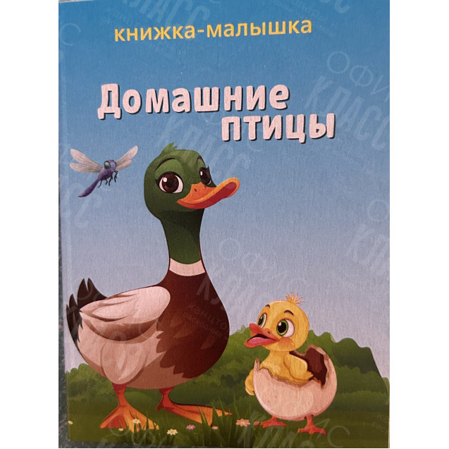 ИЗДАНИЕ ''ДОМАШНИЕ ПТИЦЫ'' СЕРИЯ ''КНИЖКА- МАЛЫШКА''