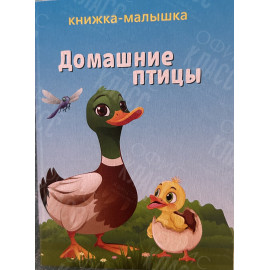 ИЗДАНИЕ ''ДОМАШНИЕ ПТИЦЫ'' СЕРИЯ ''КНИЖКА- МАЛЫШКА''