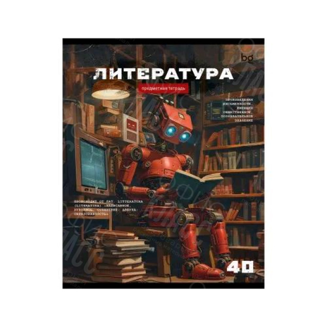 ТЕТРАДЬ 40Л ПО ЛИТЕРАТУРЕ, СЕРИЯ "РОБОТ" ЭКОНОМ BG